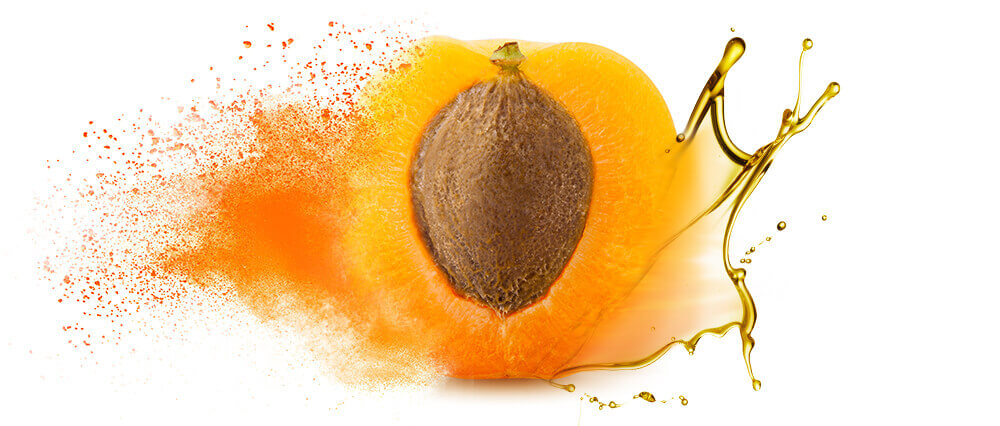 Apricot kernel oils & oil powders bulk supply & manufacture. Know what's in  your product with Connoils.