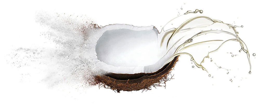 Coconut oil & oil powder wholesale supply & manufacture