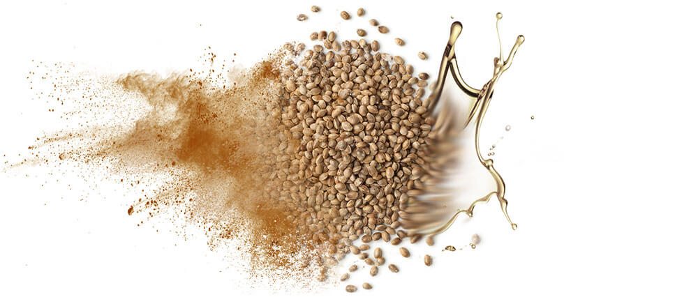 Hemp seed oils & oil powders wholesale manufacturer