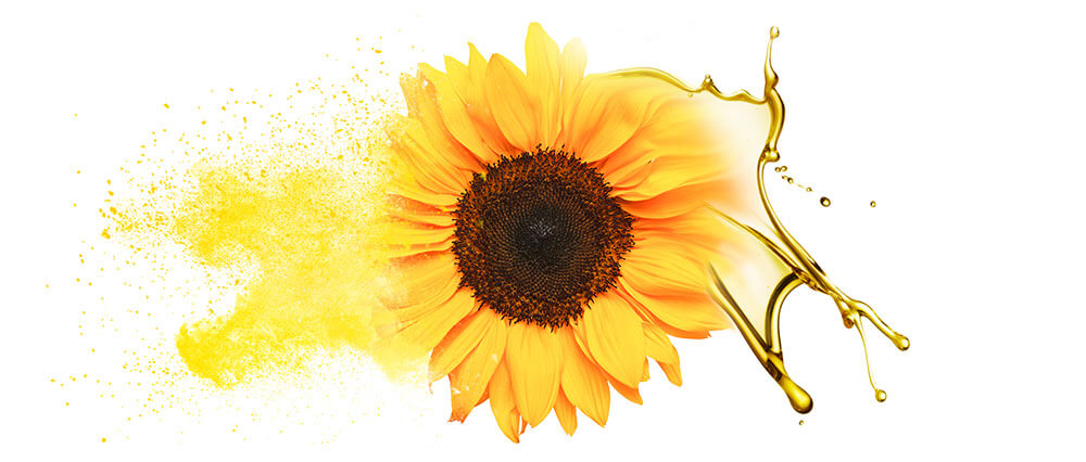 Sunflower seed oils & powders manufacturer