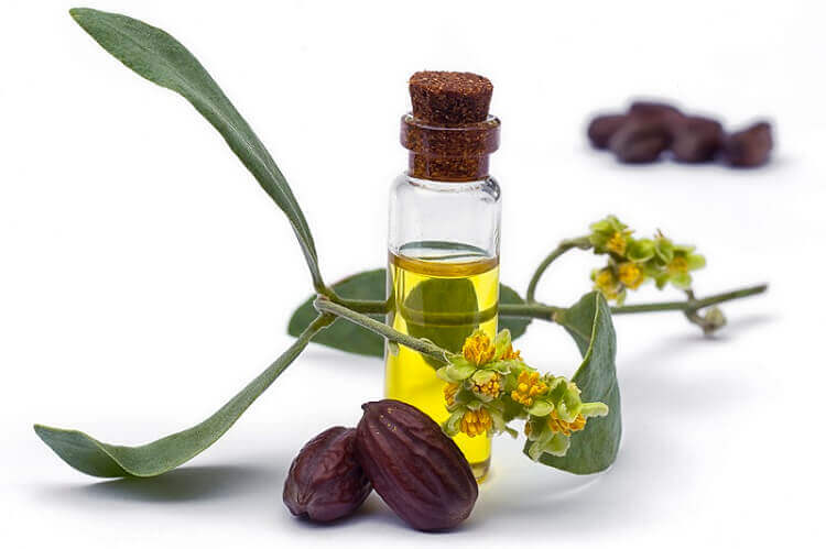 Jojoba oil and oil powder custom formulation bulk manufacturers & distributors