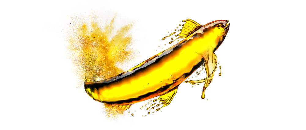 Omega-3 fish oil bulk manufacturer