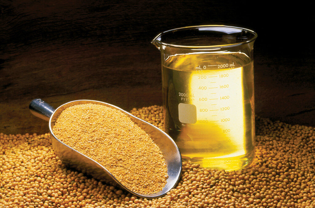 Phytosterol concentrates bulk supply & manufacture