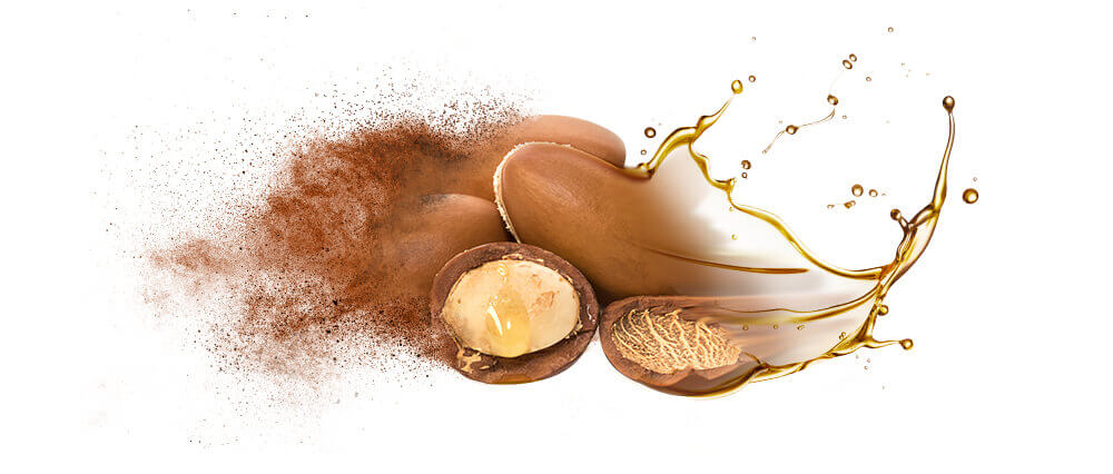 Argan oil and oil powder wholesaler supplier