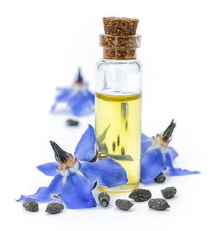 Borage oils & oil powders bulk supply & manufacture