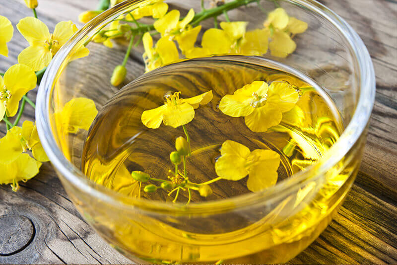 Canola oils & oil powders bulk supply & manufacture