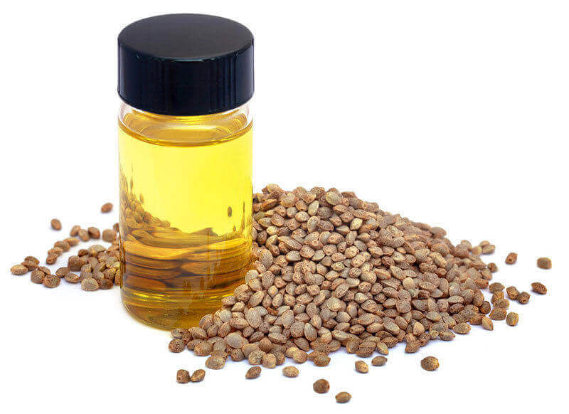 Hemp seed oil and oil powder bulk supplier
