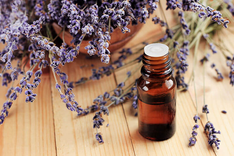 lavendar oils & oil powders bulk supply & manufacture