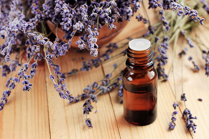 lavendar oils & oil powders bulk supply & manufacture