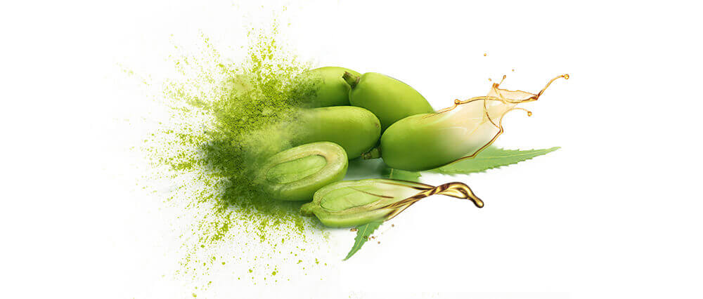 Neem oil and oil powders bulk supplier