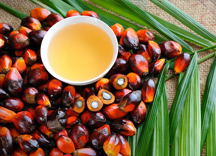 Palm oils and oil powders bulk supply and manufacture