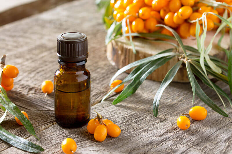 Sea Buckthorn oils & oil powders bulk supply & manufacture