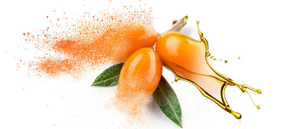 Sea Buckthorn oils and oil powders bulk manufacturing & supply