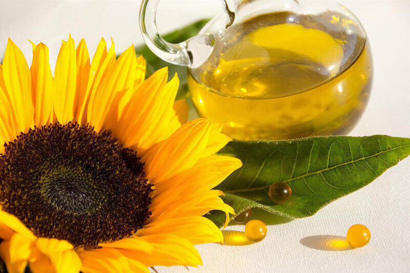 Sunflower lecithin powder bulk supply & manufacture