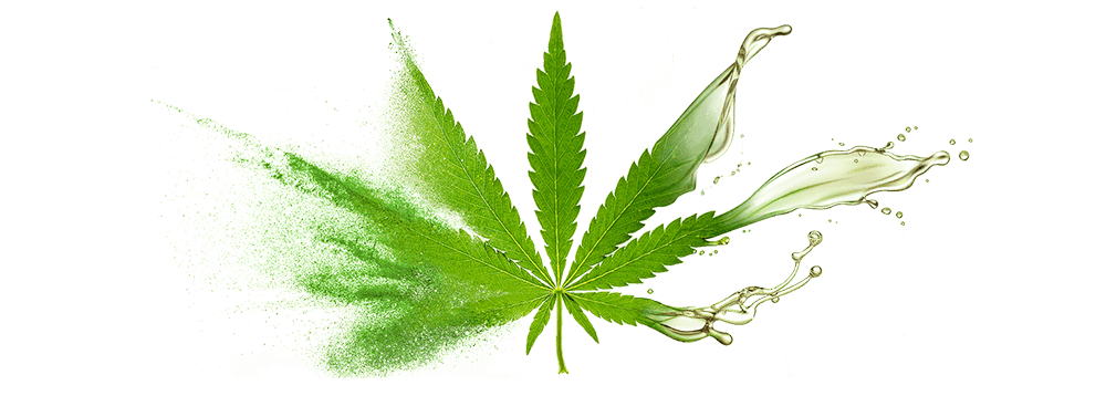 Bulk supply & manufacture of CBD oil & oil powders