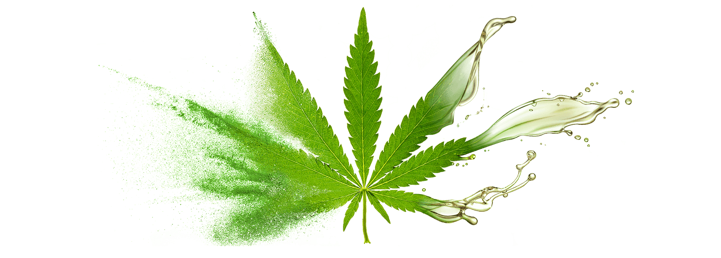 Bulk supply & manufacture of CBD oil & oil powders