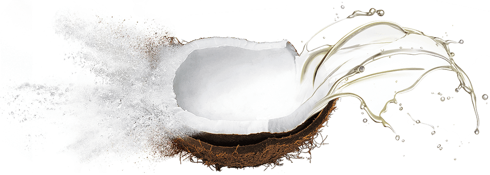 Bulk supply & manufacture of coconut oils & oil powders