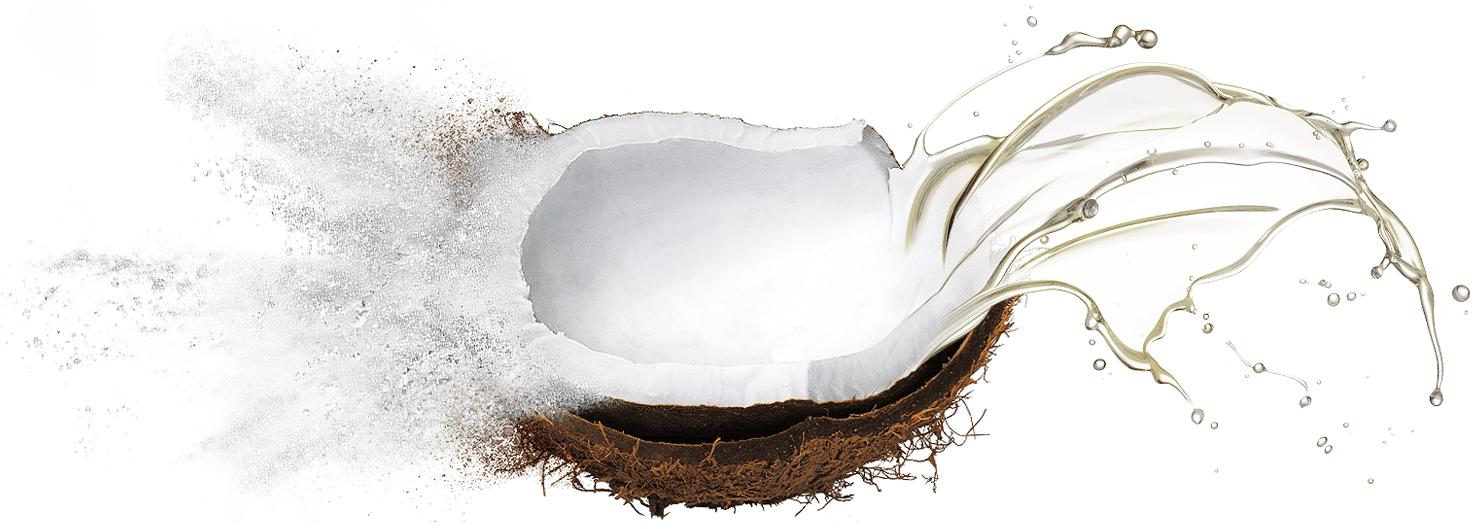 Bulk supply & manufacture of coconut oils & oil powders