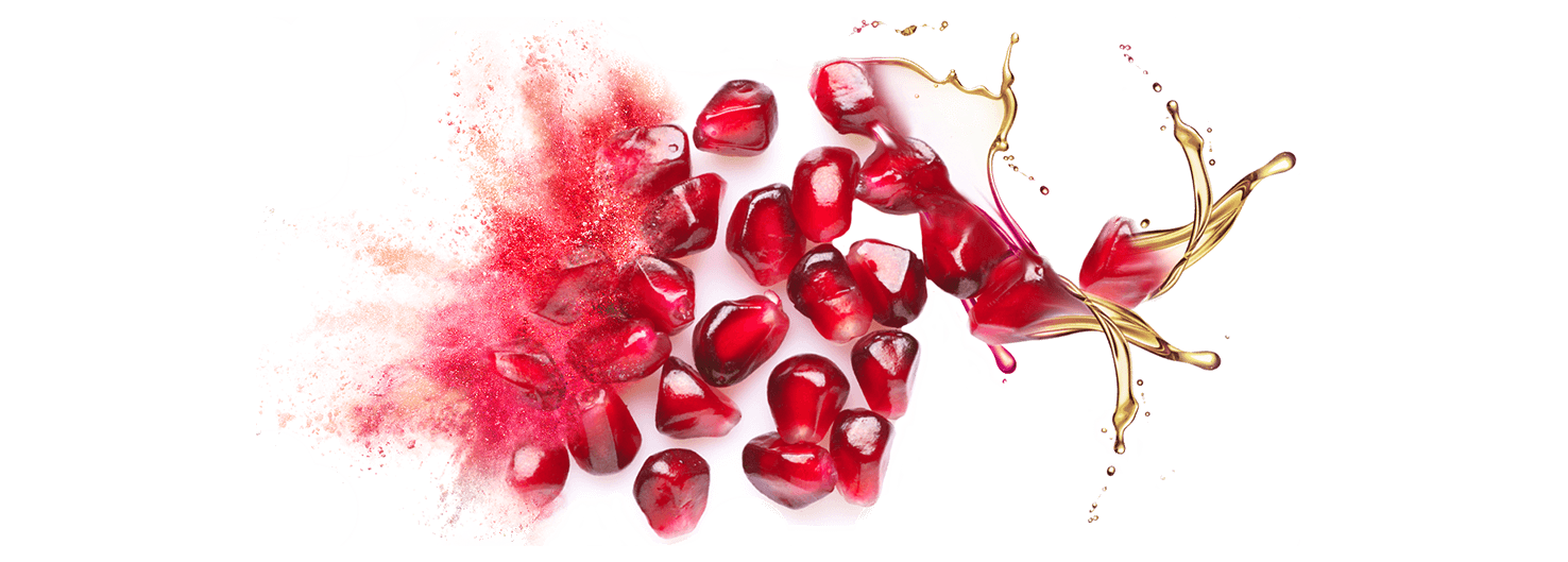 Bulk supply & manufacture of pomegranate seed oil & oil powder
