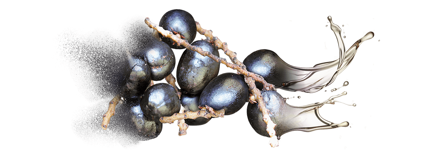 Bulk supply & manufacture of saw palmetoo oils & oil powders