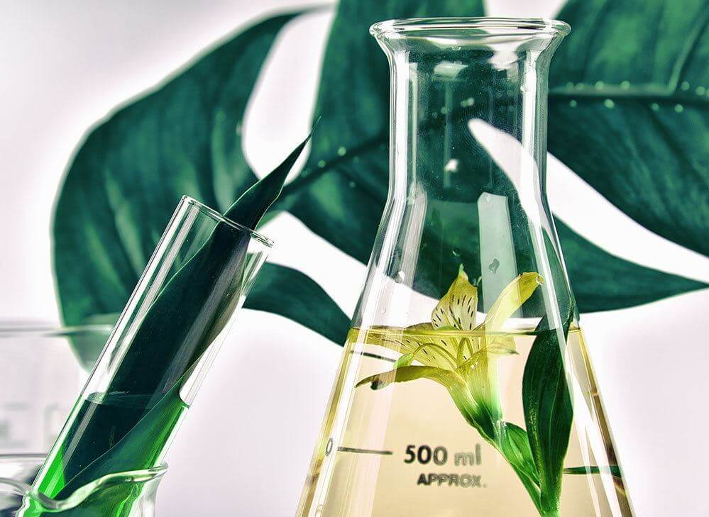 Bulk supply & manufacture of oils & oil powders for nutraceuticals Oils & oil powders for nutraceuticals